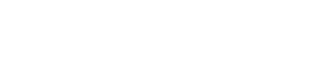 Логотип ПИОНЕР