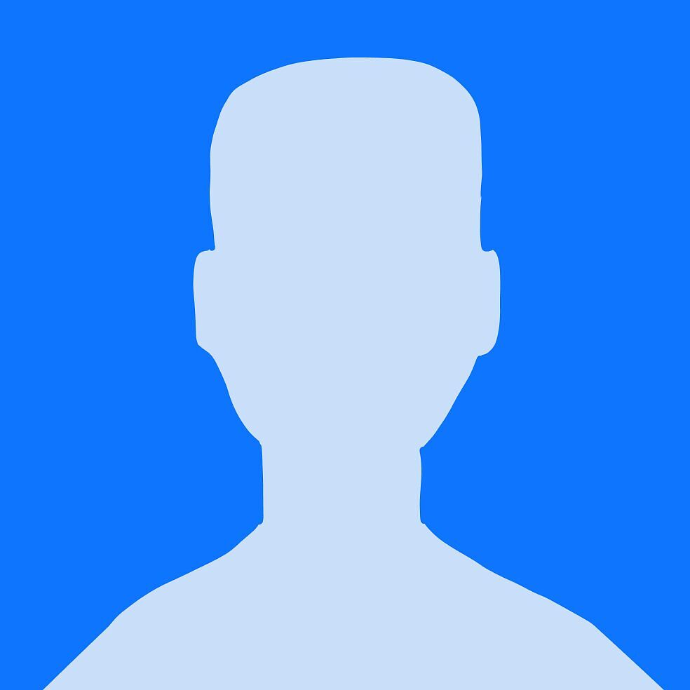 Директор по управлению проектами компании